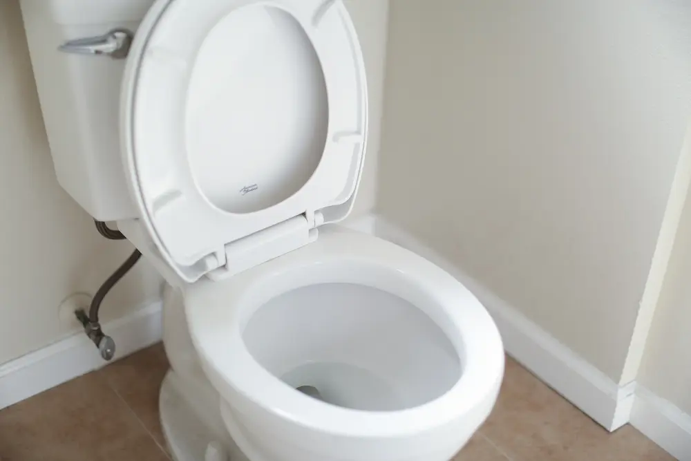 Types of Toilet Flush Systems: A Comprehensive Guide