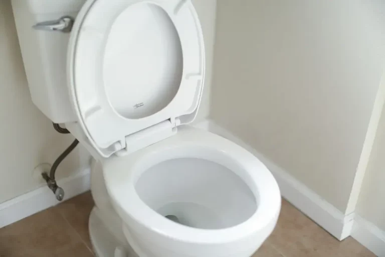 How Long Does It Take for a Toilet to Unclog Itself?